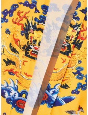 Men Dragon & Crane Print Kimono