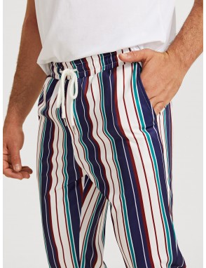 Men Drawstring Waist Slant Pocket Striped Pants
