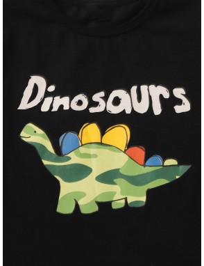 Toddler Boys Dinosaur & Camo Print Pajama Set