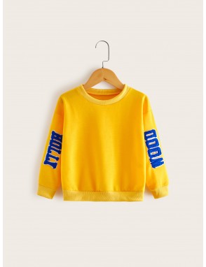 Toddler Boys Fuzzy Letter Patched Sweatshirt