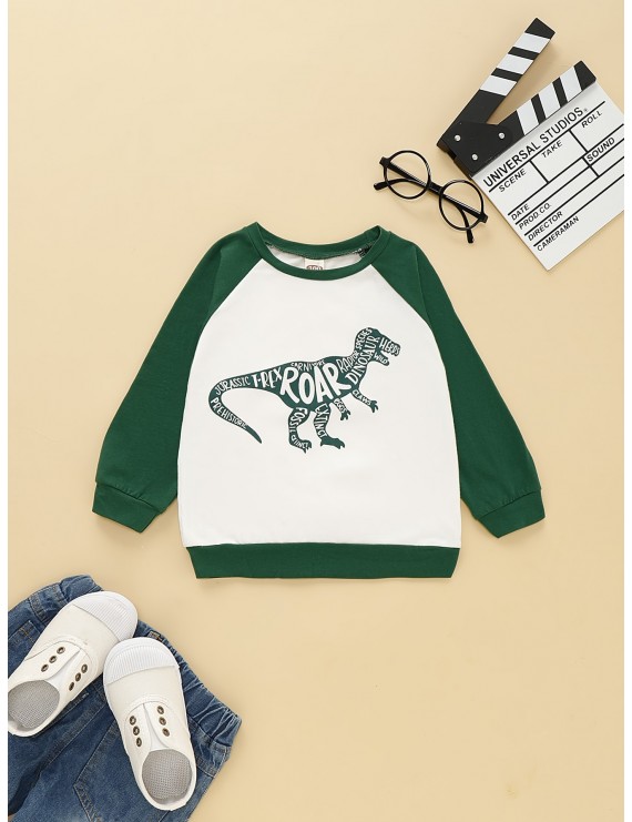 Toddler Boys Contrast Panel Letter And Dinosaur Print Sweatshirt